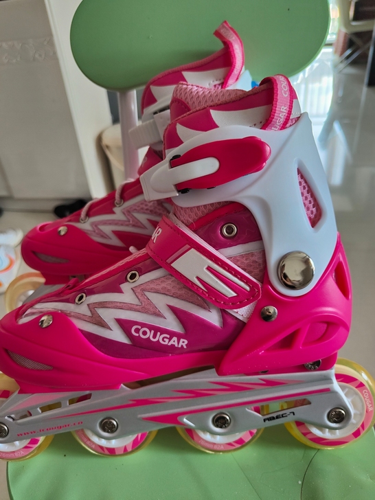 美洲狮直排轮，38-41码  处理160