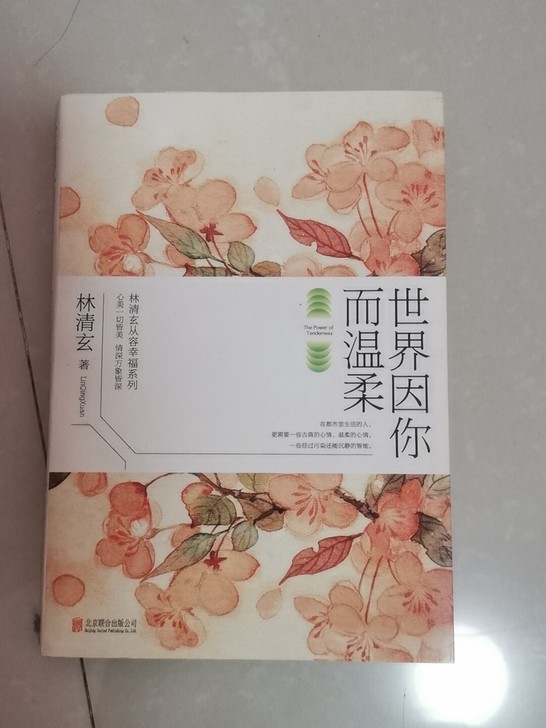 《世界因你而温柔》林清玄