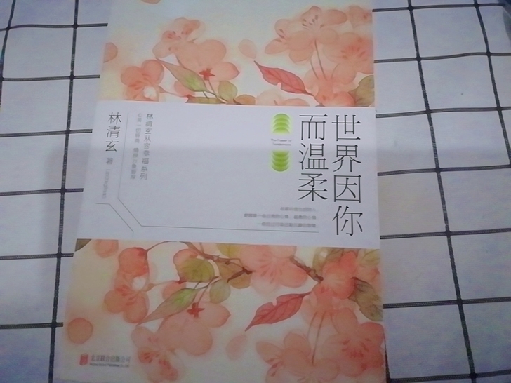 正版全新林清玄《世界因你而温柔》文字超级温...