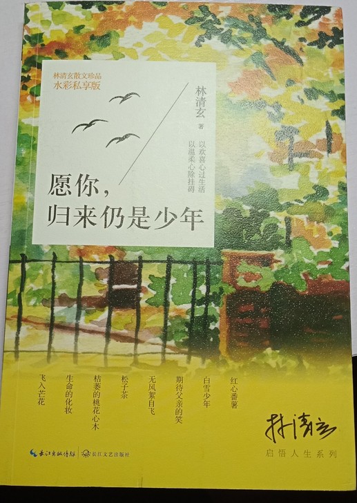 《愿你归来仍是少年》林清玄