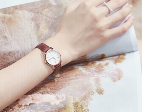 飞亚达（FIYTA）手表女 经典系列石英大...