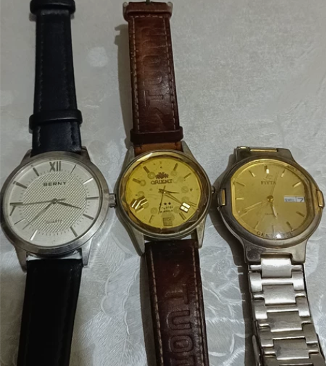 手表双狮 飞亚达 伯尼，淘来的三块表，看图...