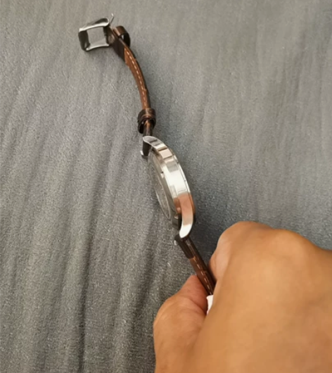 自用原装正品FIYTA飞亚达男士自动机械手...