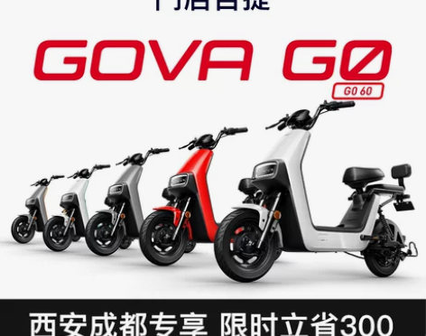 小牛电动 G0 60 新国标电动自行车锂电...