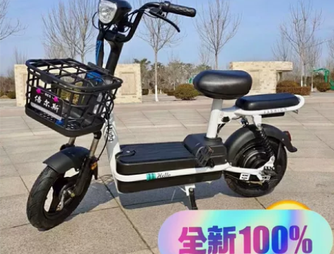 急出！急出！包邮全新电动车电瓶车新国标证件...