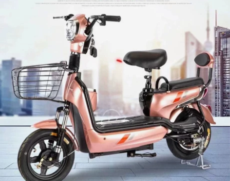 新款电动车厂家直销成人两轮两人大型助力双人...