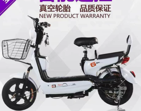 工厂直销电动车成人新款48V充电电瓶车小型...