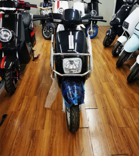 全新 电动车，蓝精灵，库存处理价，新国标，...