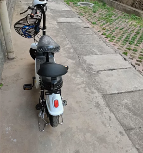 思帝诺新国标电动车电动自行车48V小型电男...