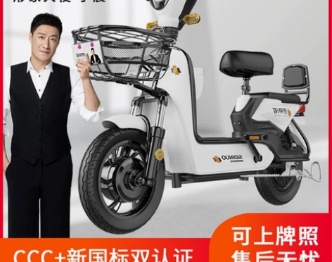 思帝诺新国标电动车小型电瓶车男女两轮代步车...