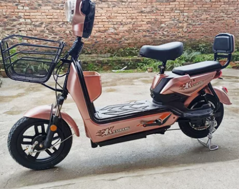 科思康新国标电动车成人电动自行车48V电瓶...