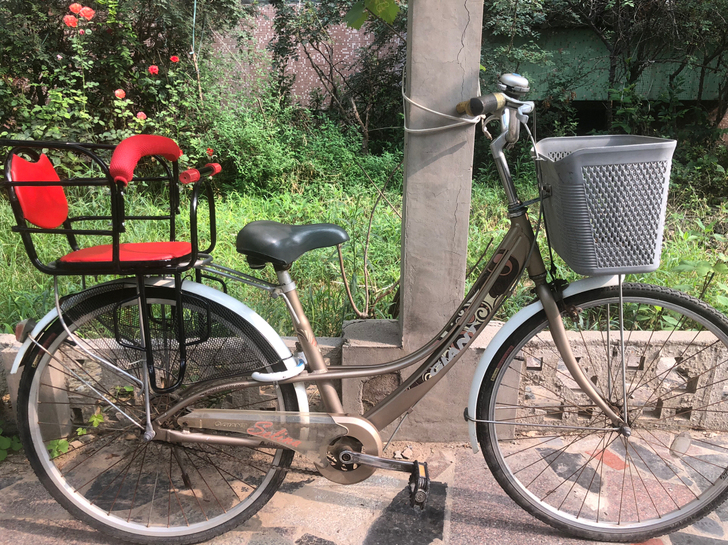 捷安特自行车 铝合金车身 小飞轮 辐条下雨...