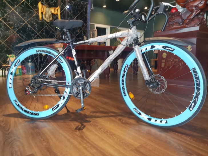 iColour 公路自行车