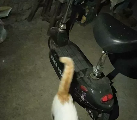 代驾折叠电动车不想干了 感兴趣的话点“我想...