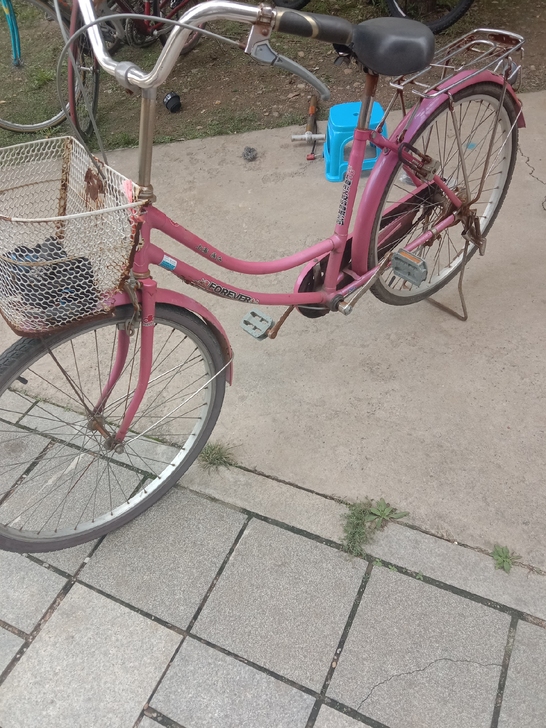 永久自行车，女士的，车筐有点破损，没有毛病...