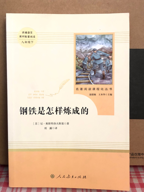 《钢铁是怎样炼成的》