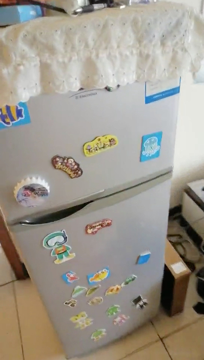 伊莱克斯小冰箱