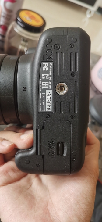 佳能1200D+腾龙18-200一镜走天下