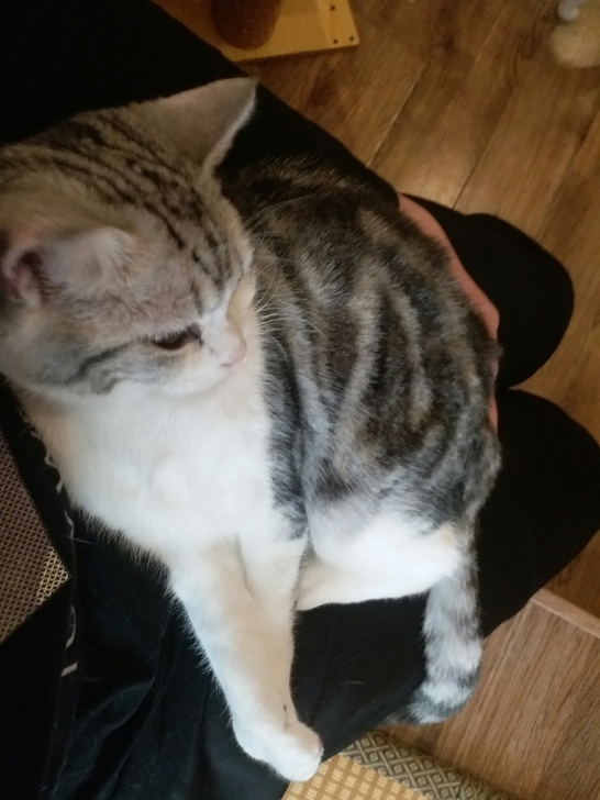 【求购】收一套《老夫子》漫画,《哆啦A梦》...