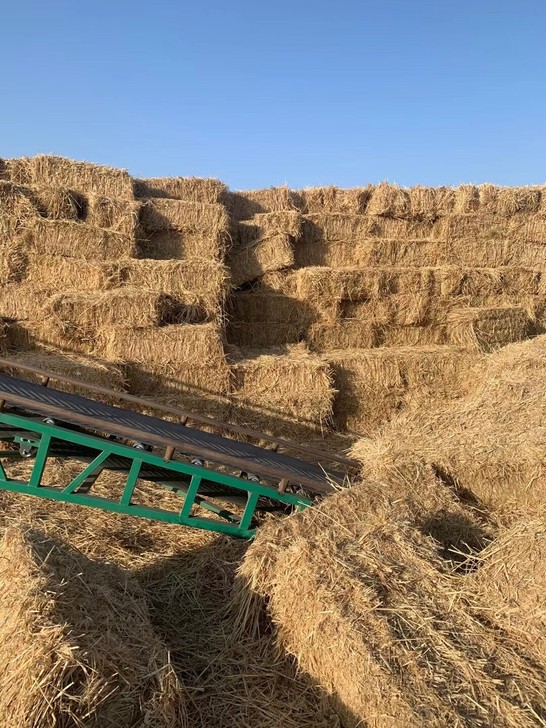 稻草，稻草，稻草，牛羊饲料，蘑菇菌，扎段，...