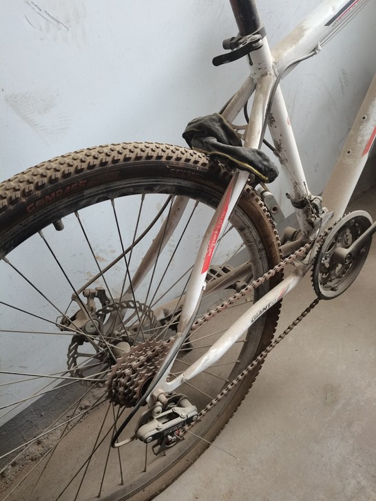 朋友回家了不骑了。自取