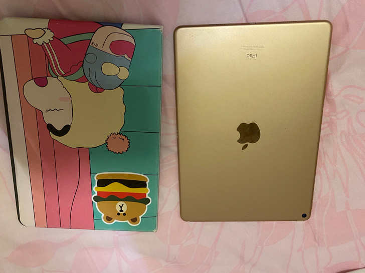 ipad air3 自用 金色 无划痕 没...