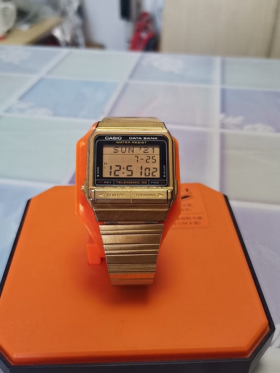 casio db-310