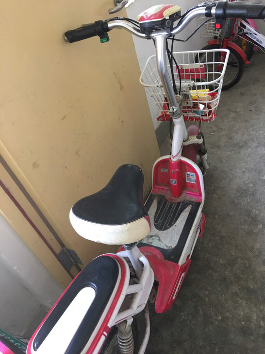 自用电瓶车，爱丽丝品牌。发票车牌都有，60...