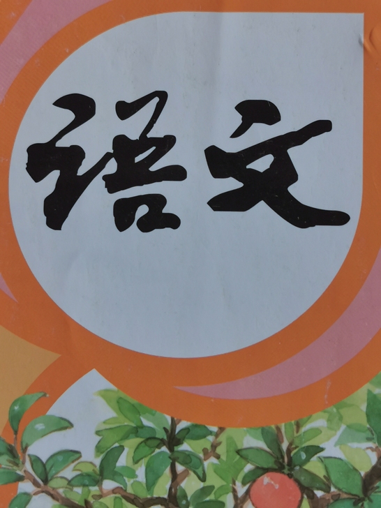 暑期小学语文作文1对1家教，真正提高学生写...