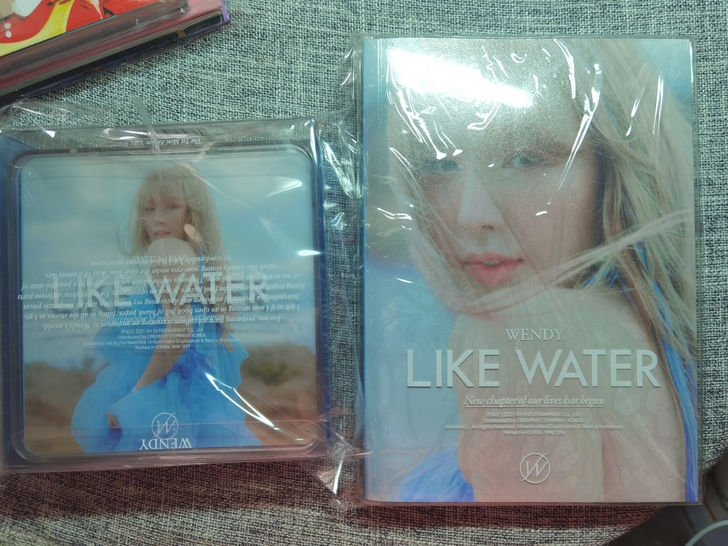 【出】red velvet Wendy wolo case