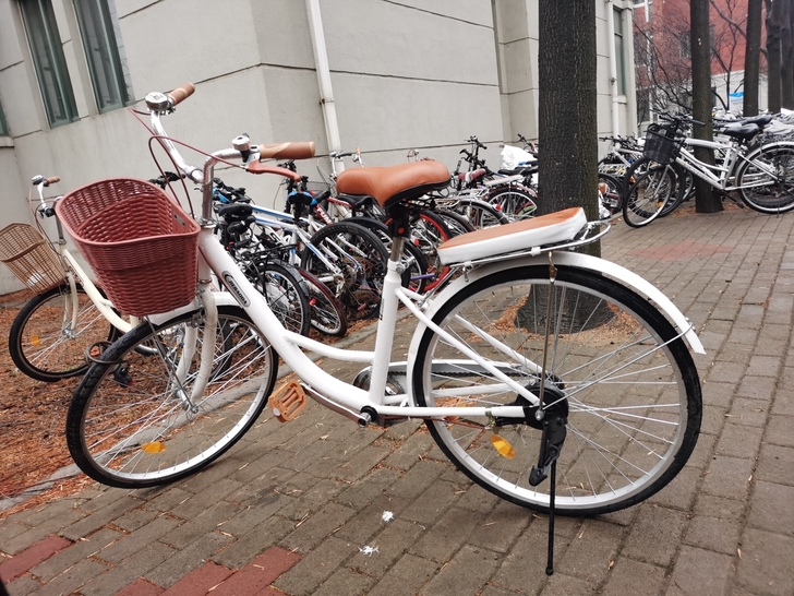 女生24寸自行车