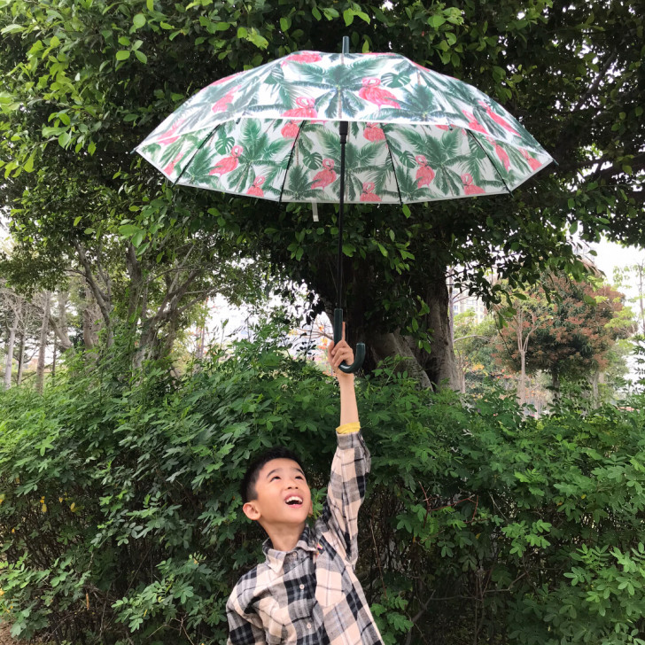 出口韩国的订单，工厂白菜价出了。网红创意长...