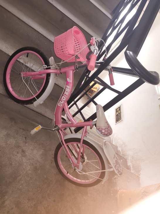 新买的没怎么骑九成新