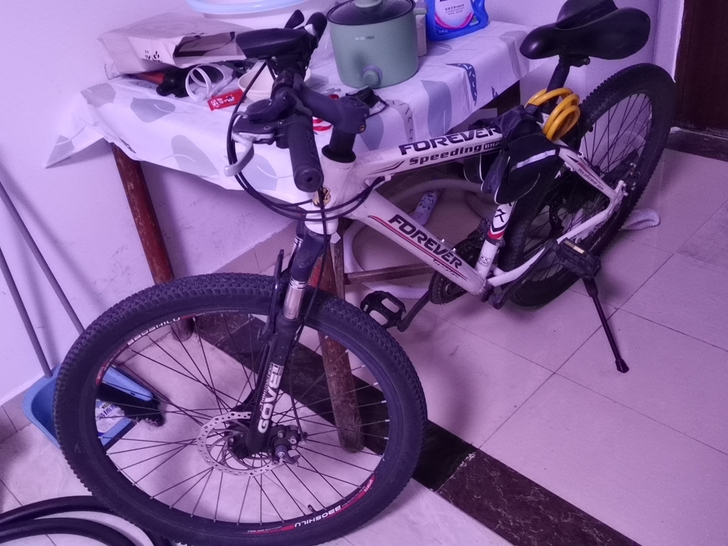 永久自行车，两周前闲鱼购入，离职出。