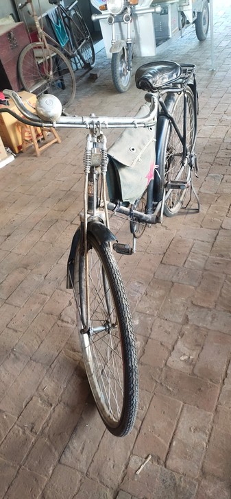 老飞鸽自行车！喜欢的进！