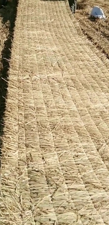 园林绿化稻草隔热保湿公路铺路小动物地垫草帘...
