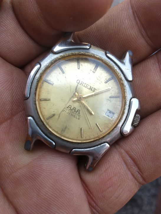 经典双狮手表，不走了，配件出售，按图发货