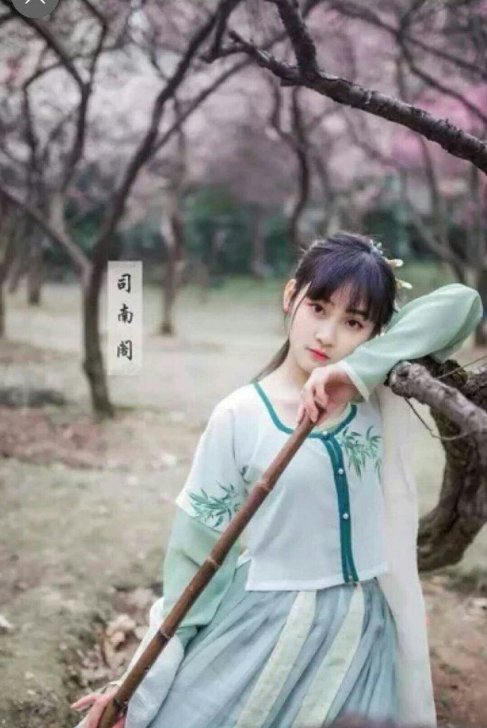 【司南阁】汉服坦领