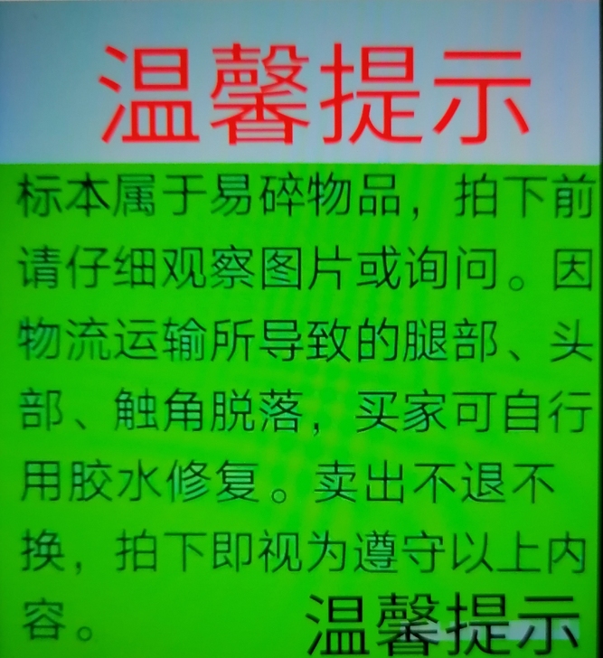 甲虫标本(16只):买家专拍,看好下单售出...