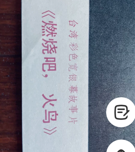 台湾电影  琼瑶电影  林青霞  刘文正 ...