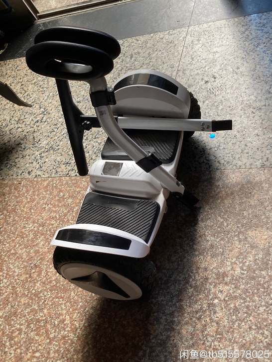 领奥官方旗舰店新款电动平衡车腿控成年智能儿...