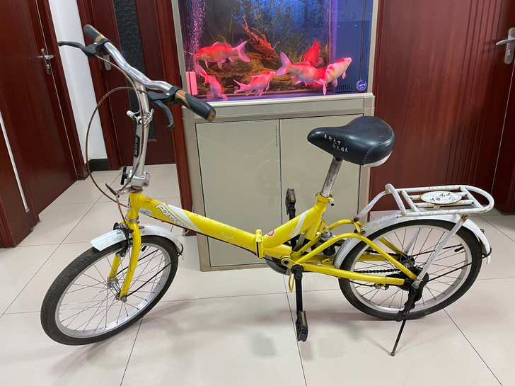 20寸永久折叠自行车，带减震。成色如图。轻...