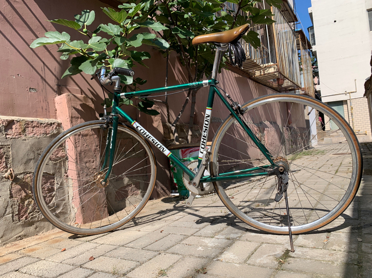 9新公路/活死飞两用