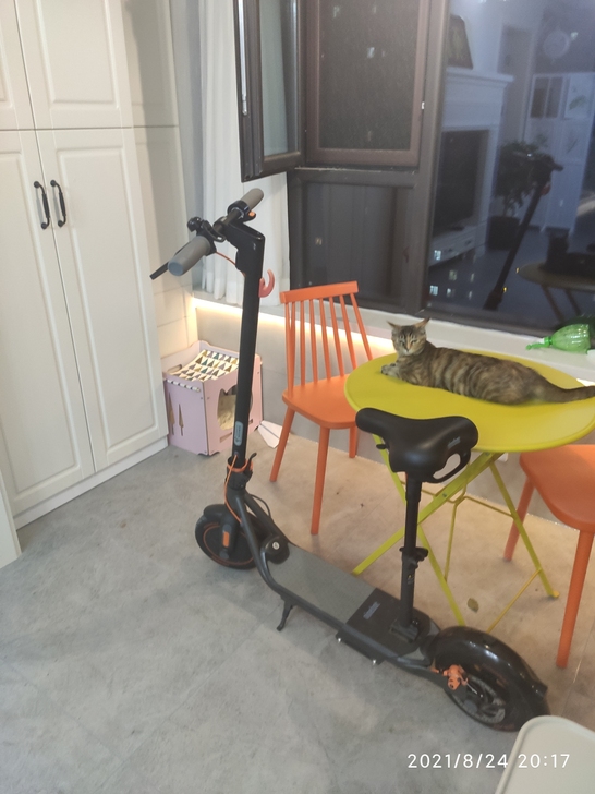 小米九号电动滑板车f40，续航最长配置最高...