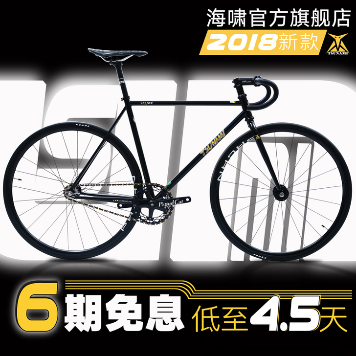 慢出海啸（自行车）倒骑 死飞