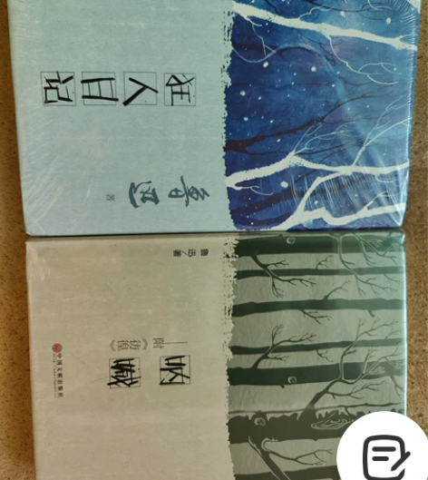 文艺小说，鲁迅的呐喊和狂人日记两本，女儿买...