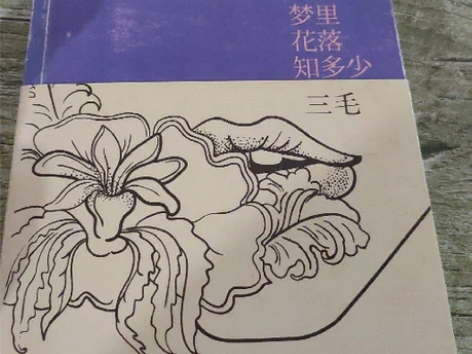 正版二手梦里花落知多少三毛 著 / 北京十...