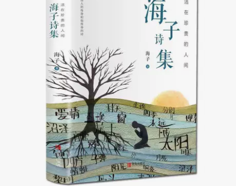 海子的诗 正版面朝大海春暖花开海子传记文学...