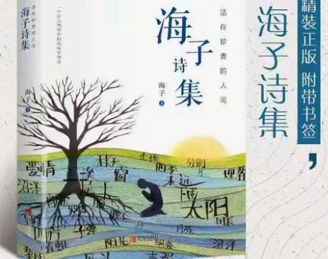 海子的诗精装 治愈系 海子的诗全集精装正版...