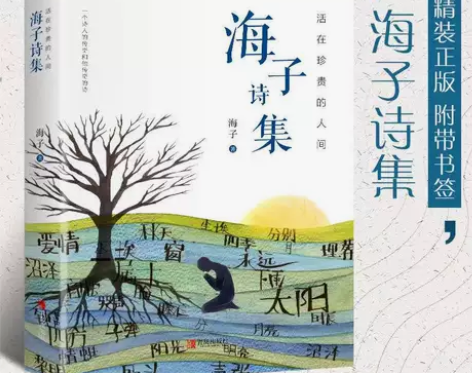 海子诗集海子诗全集海子的诗歌全集鉴赏诗词书...